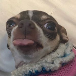 Meet your Posher, Jaide